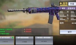 使命召唤最新爆料m16,M16新爆料，揭秘未来战场利器